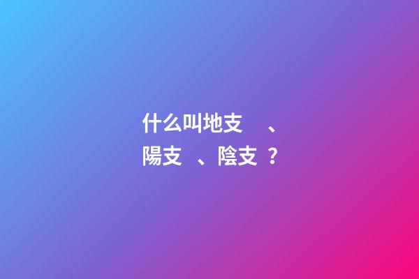 什么叫地支、陽支、陰支？